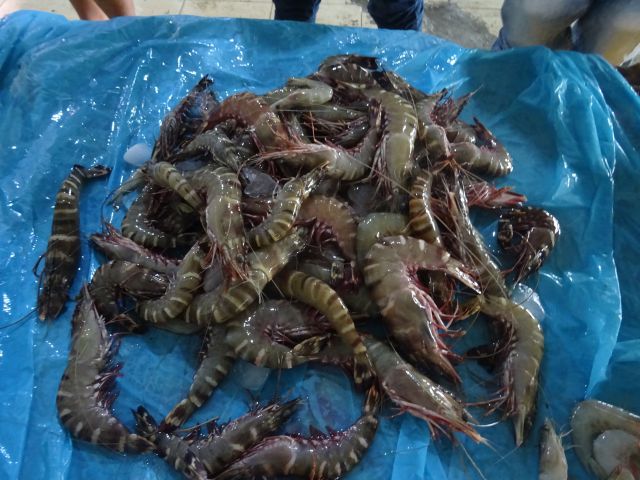 Lhokseumawe